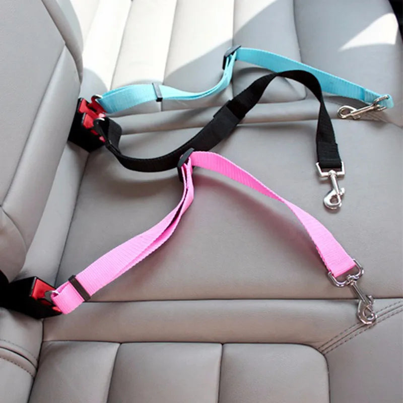 Dog seatbelt