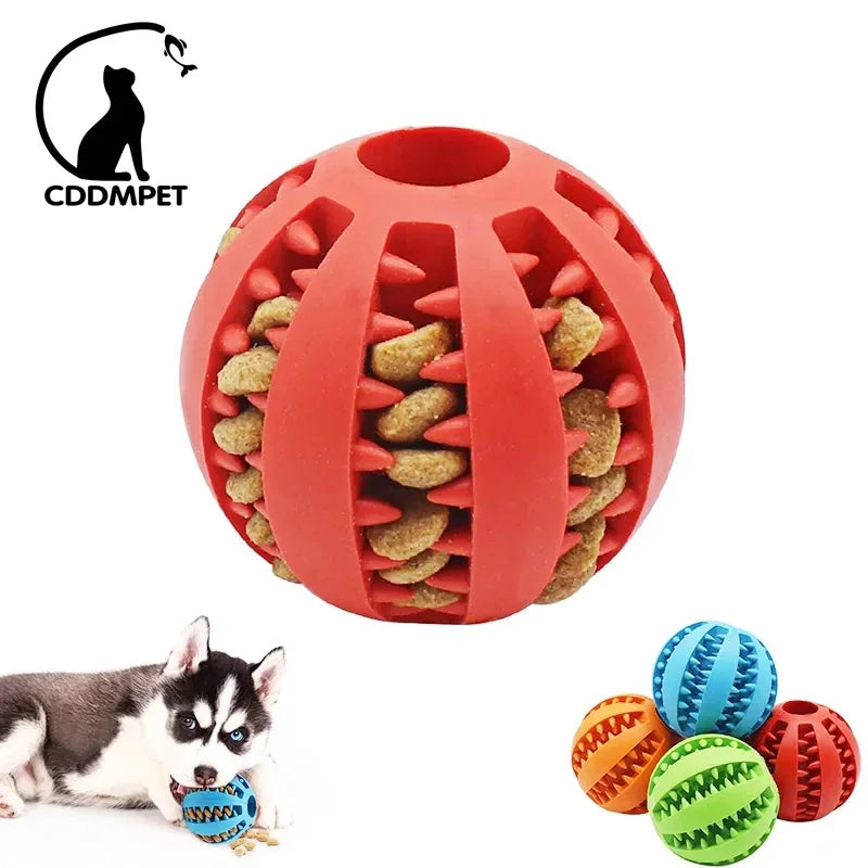 Dog Chewing Ball Toy