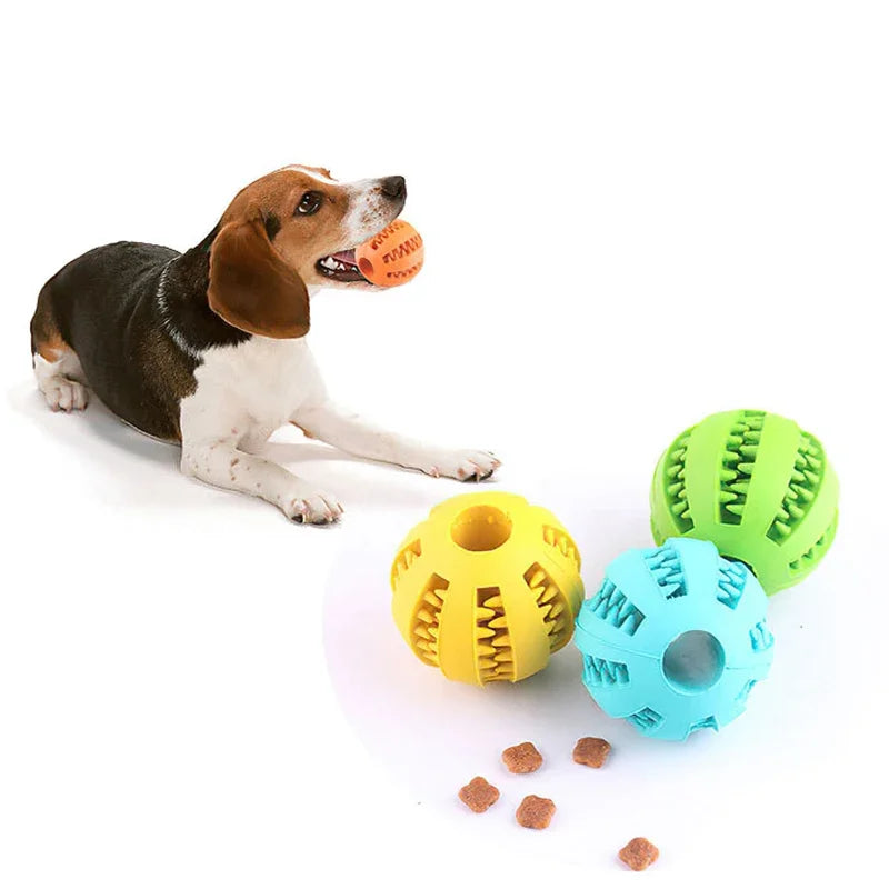 Dog Chewing Ball Toy