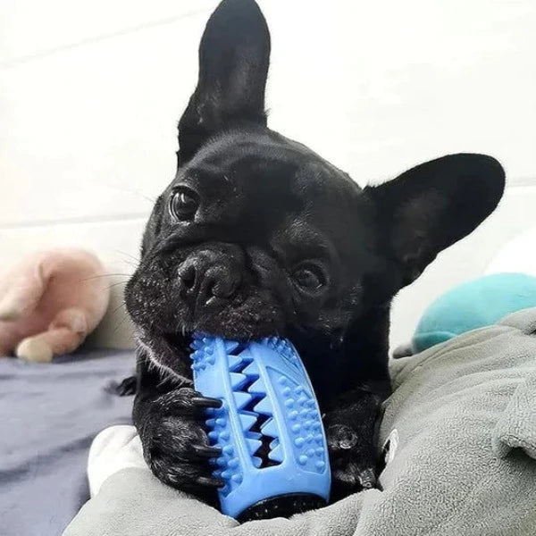 Chew Cleaning Toy