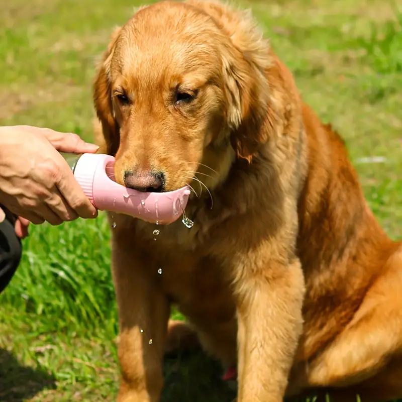 2 in 1 Portable Dog Bottle